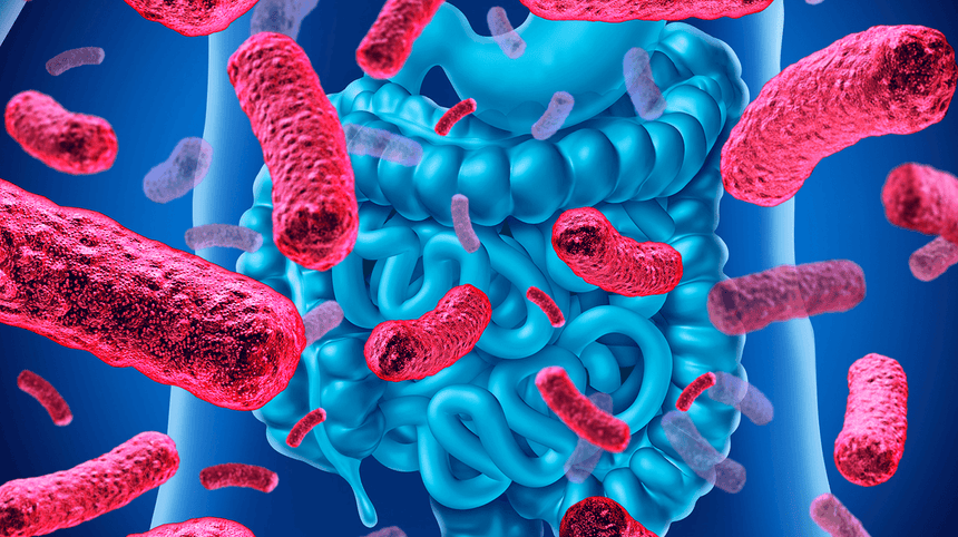 microbiota intestinale