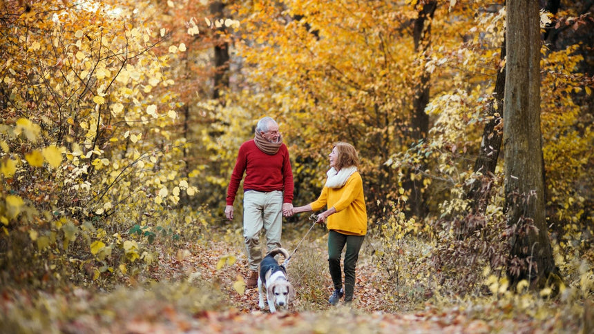 coppia di anziani con cane nel bosco in autunno